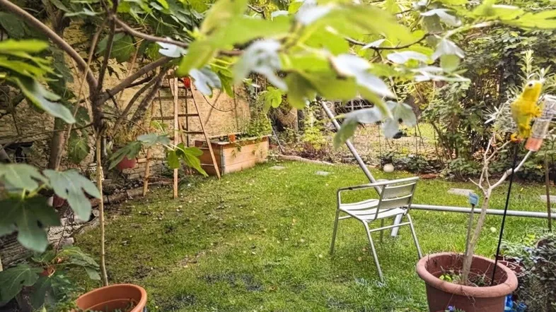 Kleiner, grüner Gartenbereich mit Rasenfläche, Topfpflanzen und üppiger Vegetation, ideal zum Entspannen.