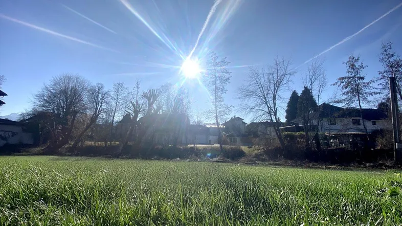 Sonniges Feld mit frischem Grün und Häusern im Hintergrund unter blauem Himmel.