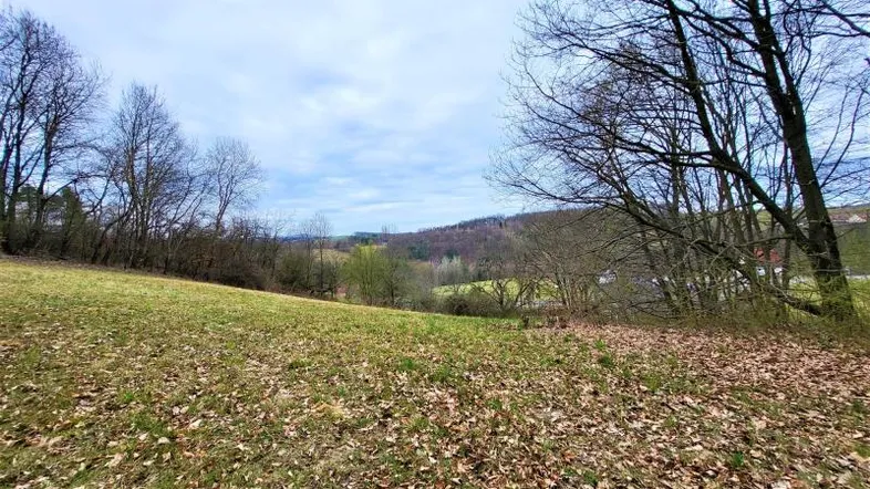 Weitläufiges Grundstück mit grüner Wiese, Bäumen und Blick auf die umliegende Landschaft.