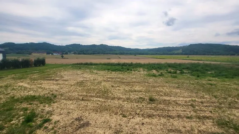 Weites Feld mit grünen Hügeln und bewaldeten Flächen im Hintergrund unter bewölktem Himmel.