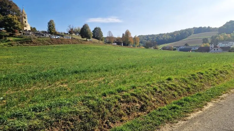 Weitläufiges grünes Feld mit einer Kirche und Häusern im Hintergrund unter blauem Himmel.