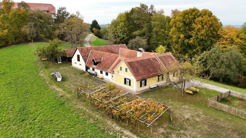 Luftaufnahme eines ländlichen Anwesens mit gelbem Haus, rotem Dach und umgebender Natur.
