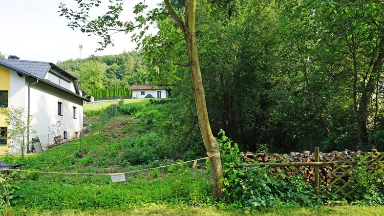 Blick auf das Grundstück mit Hanglage, umgeben von viel Grün und Bäumen.