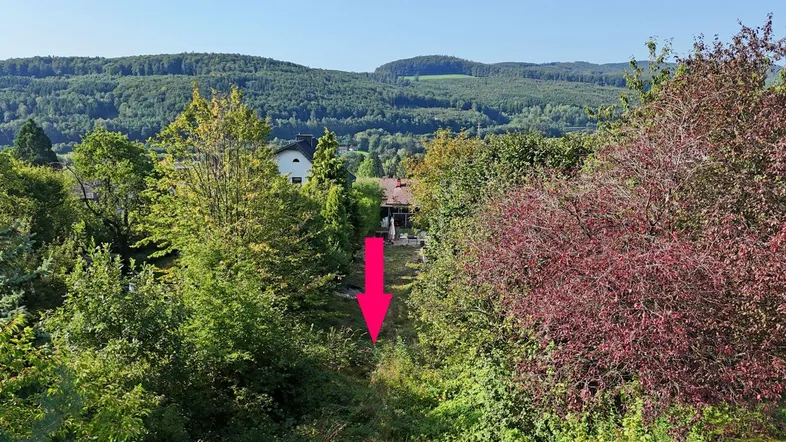 Herrliche Ruhelage am Waldrand am Karriegel