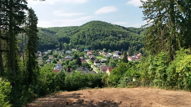Panoramablick über eine bewaldete Hügellandschaft mit einem Dorf im Tal unter blauem Himmel.