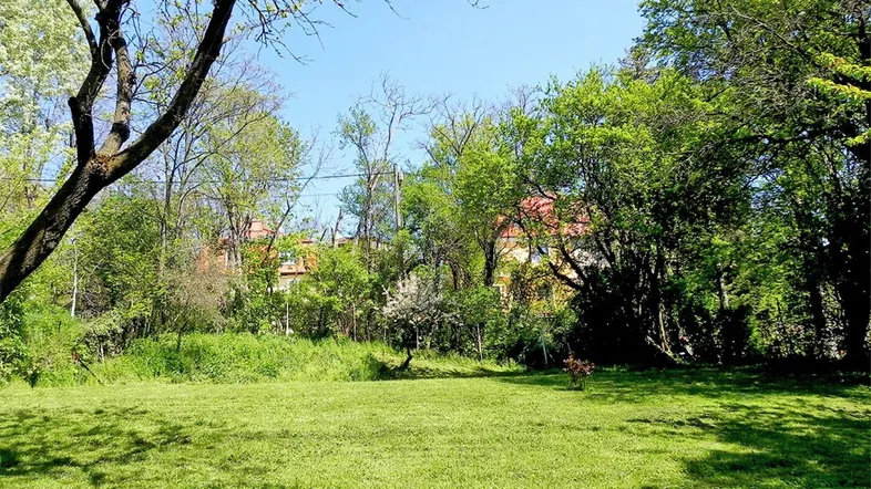 Weitläufige grüne Rasenfläche umgeben von Bäumen unter strahlend blauem Himmel mit Blick ins Grüne.