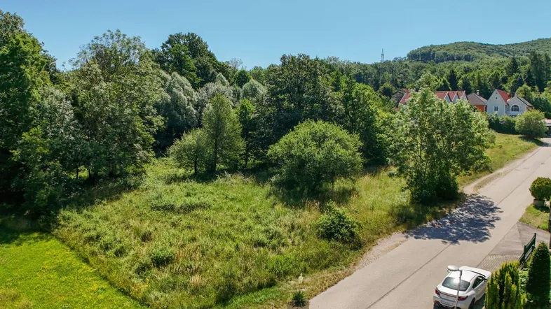 Luftaufnahme eines grünen Baugrundstücks mit umliegenden Bäumen und einer Straße.