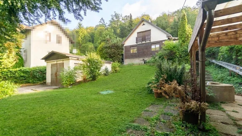 Grüner Gartenbereich mit Rasenfläche, einem kleinen Schuppen und Blick auf das Haus und die bewaldete Umgebung.