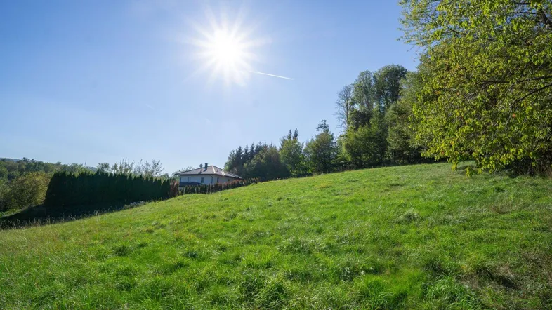 Sonniger Hang mit weitem Blick auf die umliegende Landschaft und ein Haus im Hintergrund.