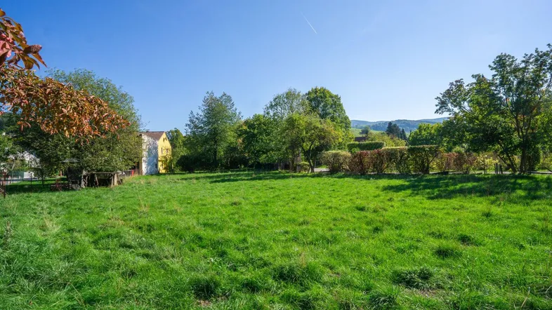 Weitläufige grüne Wiese mit Bäumen und Blick auf die umliegende Landschaft unter blauem Himmel.