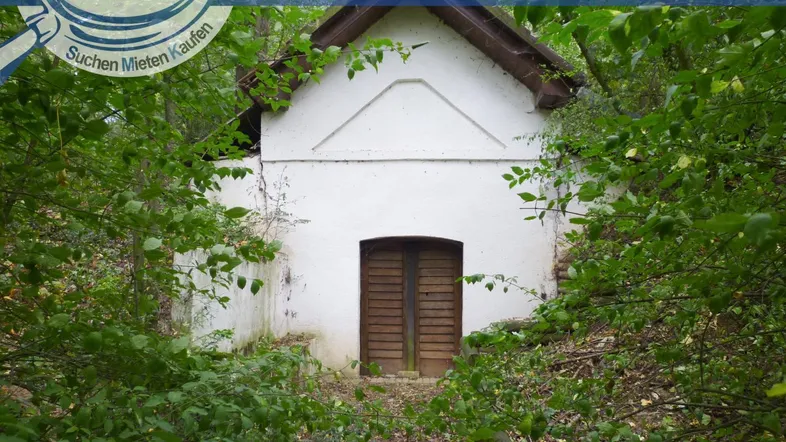 Altes, kleines weißes Gebäude mit Holztür, umgeben von dichtem Wald und Bäumen.