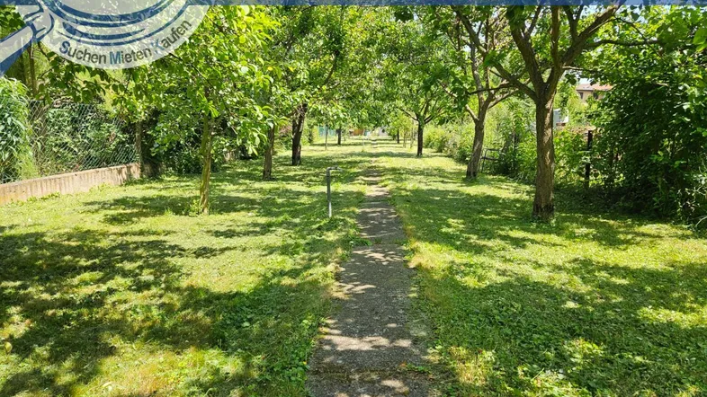Grüner Gartenbereich mit Obstbäumen und einem schmalen Pfad in der Mitte.