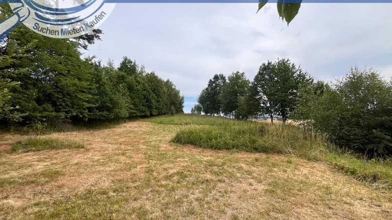Weitläufiges Grundstück mit natürlicher Vegetation und Baumbestand unter bewölktem Himmel.