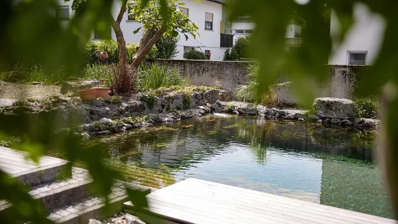 Natürlicher Schwimmteich mit Holzdeck und umgebender Bepflanzung, umrahmt von einem Wohnhaus.