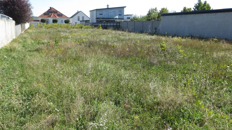 Großes, unbebautes Grundstück mit hohem Gras und umliegenden Häusern in ländlicher Umgebung.