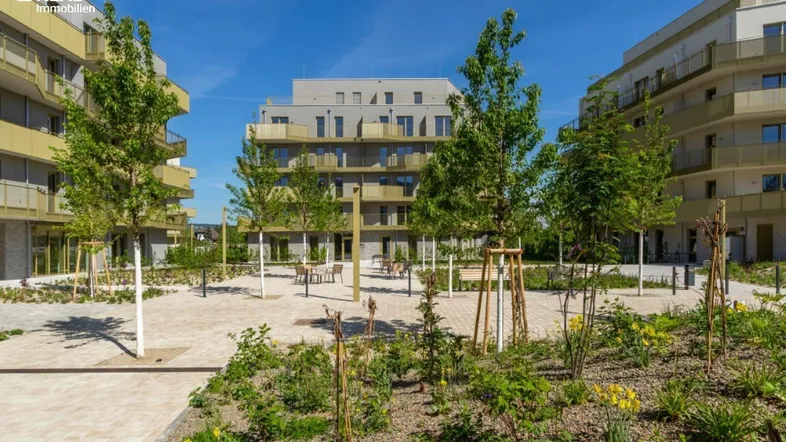 Moderner Innenhof mit Sitzgelegenheiten und junger Bepflanzung zwischen den Wohngebäuden.