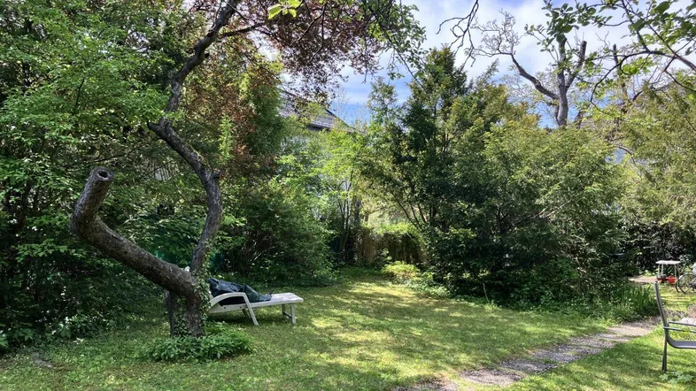 Sonniger Gartenbereich mit Liegestuhl und einem Pfad, umgeben von üppigem Grün und Bäumen.