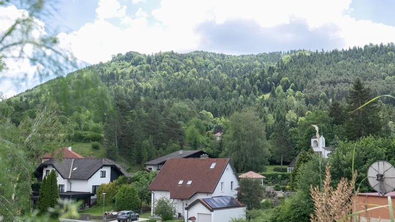 Blick auf die umliegende Wohngegend mit bewaldeten Hügeln und Häusern unter bewölktem Himmel.