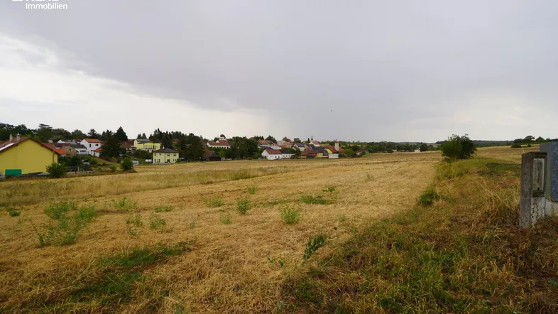 Weitläufiges Feld mit Blick auf eine ländliche Siedlung unter bewölktem Himmel.