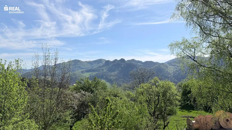 Malerische Berglandschaft mit üppiger Vegetation unter einem weiten blauen Himmel.