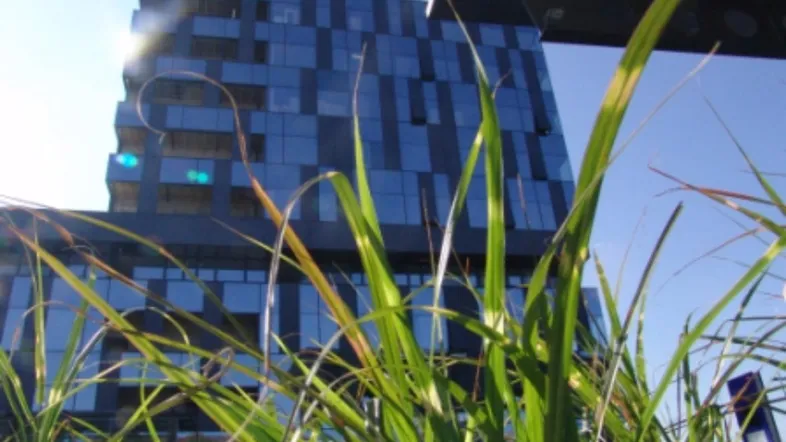 Modernes Gebäude mit Glasfassade und blauen Akzenten, gesehen durch hohes Gras.