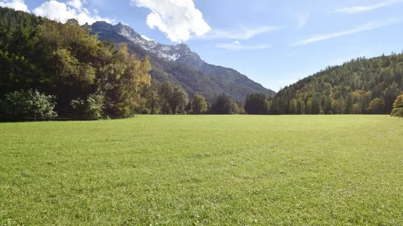 Weite grüne Wiese mit majestätischen Bergen und bewaldeten Hängen unter blauem Himmel.
