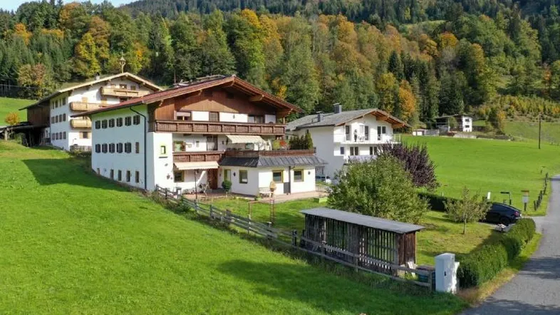 Traditionelle Häuser in alpiner Landschaft mit grünen Hügeln und Wald im Hintergrund, umgeben von Wiesen.