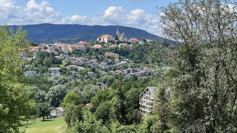 Panoramablick auf eine malerische Stadt mit historischen Gebäuden, umgeben von grünen Hügeln und Wäldern.