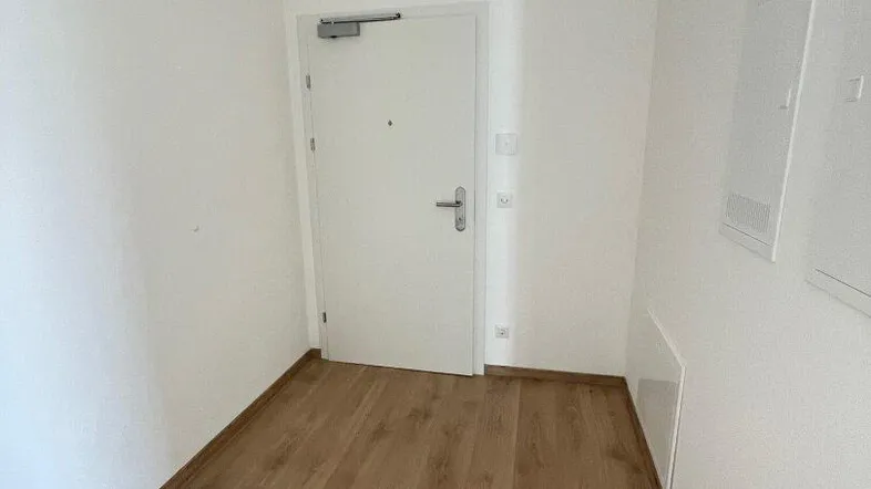 Heller Eingangsbereich mit Laminatboden und weißen Wänden, bereit für die individuelle Gestaltung.