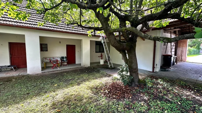 Hinterhof mit großem Baum, Rasenfläche und überdachtem Bereich am Haus.