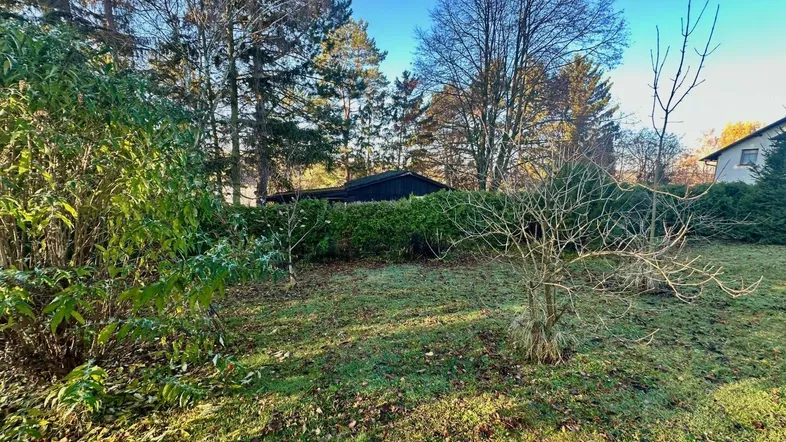 Gepflegter Gartenbereich mit Rasenfläche, Büschen und hohen Bäumen im Hintergrund.