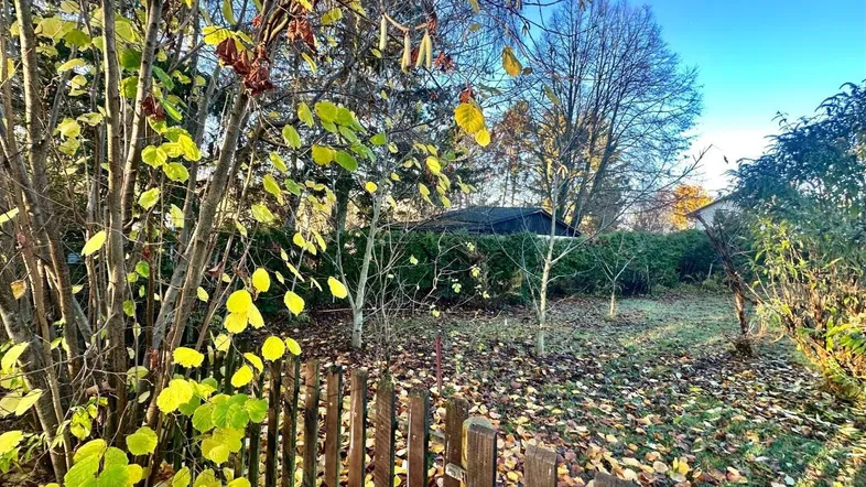 Herbstlicher Gartenbereich mit Laubbäumen und gefallenen Blättern unter blauem Himmel.