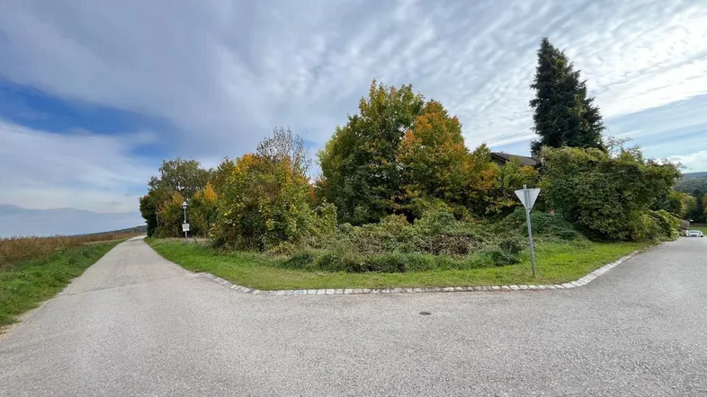 Grundstück an einer Landstraße mit Bäumen und Blick auf die umliegende Natur.