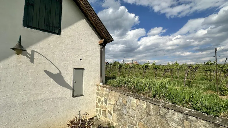 Seitenansicht des Gebäudes mit grünen Fensterläden und Blick auf die umliegenden Weinberge.