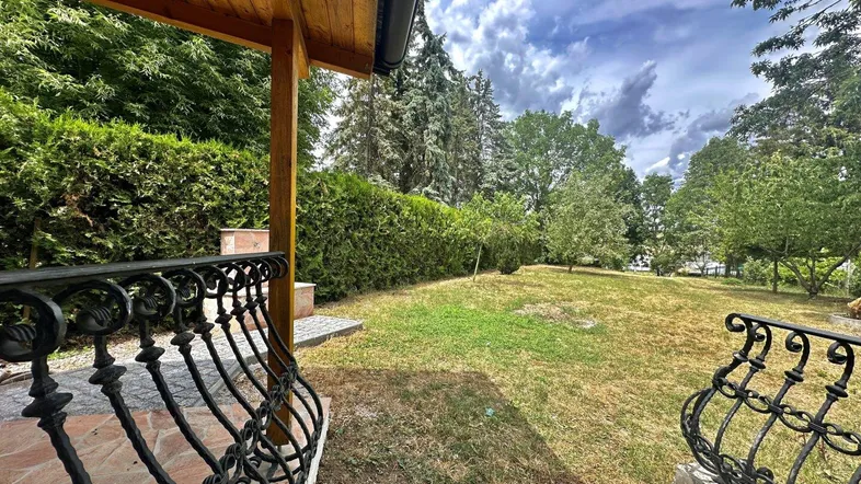 Blick vom überdachten Bereich in den Garten mit Rasenfläche und hohen Hecken.