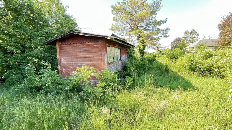 Kleiner Holzschuppen in einem verwilderten Gartenbereich unter strahlend blauem Himmel.