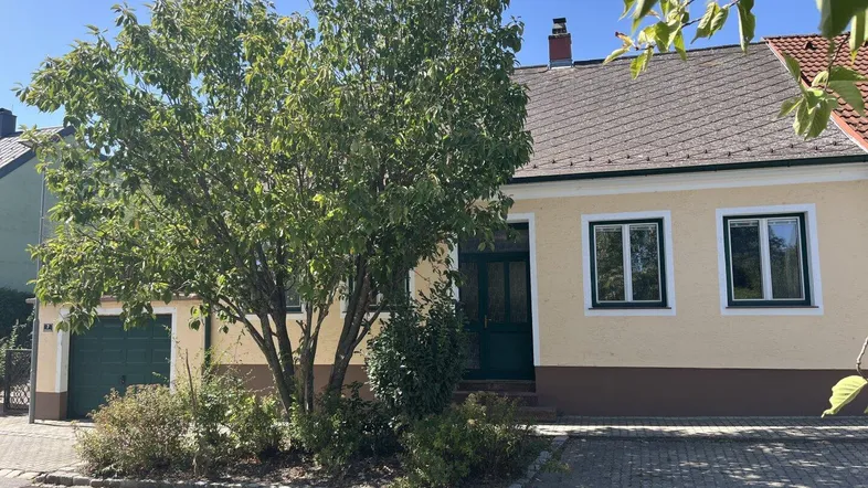 Vorderansicht des Hauses mit Garage, Eingangsbereich und einem großen Baum im Vorgarten.