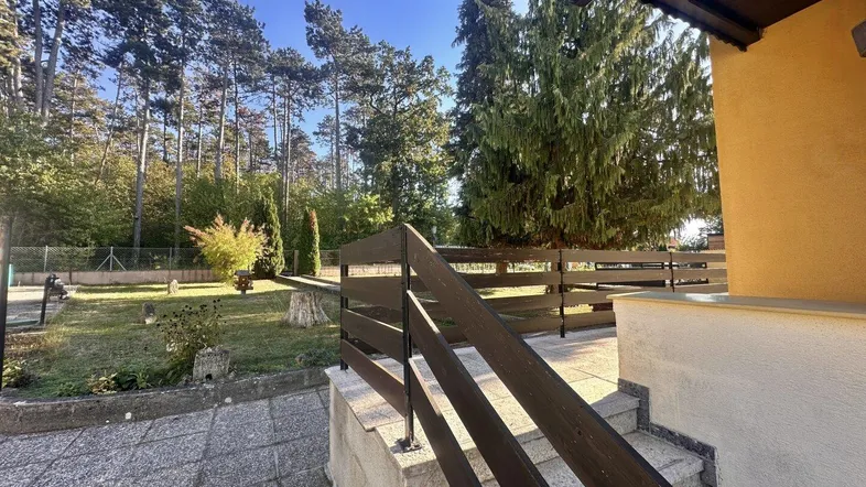 Treppe führt durch den gepflegten Garten mit hohen Bäumen und viel Grün.