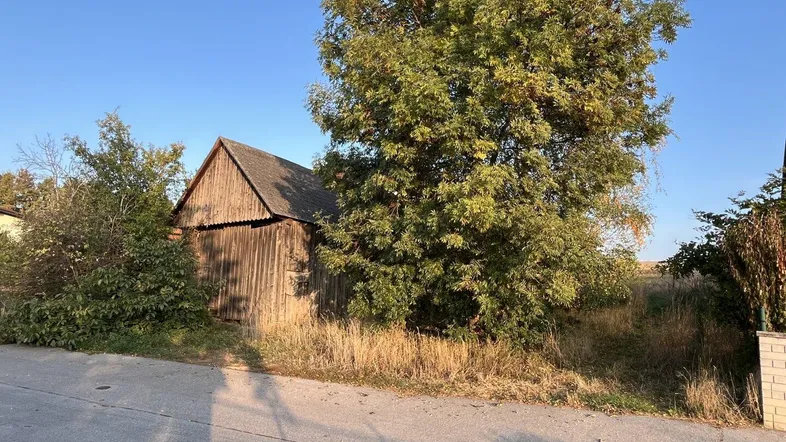 Alte Holzscheune mit Satteldach und umgebender Vegetation an einem sonnigen Herbsttag.