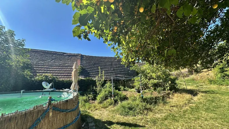 Großer Gartenbereich mit Aufstellpool und altem Baumbestand unter blauem Himmel.