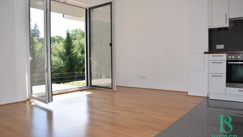 Helles Wohnzimmer mit Parkettboden, integrierter Küchenzeile und Zugang zum Balkon mit Blick ins Grüne.