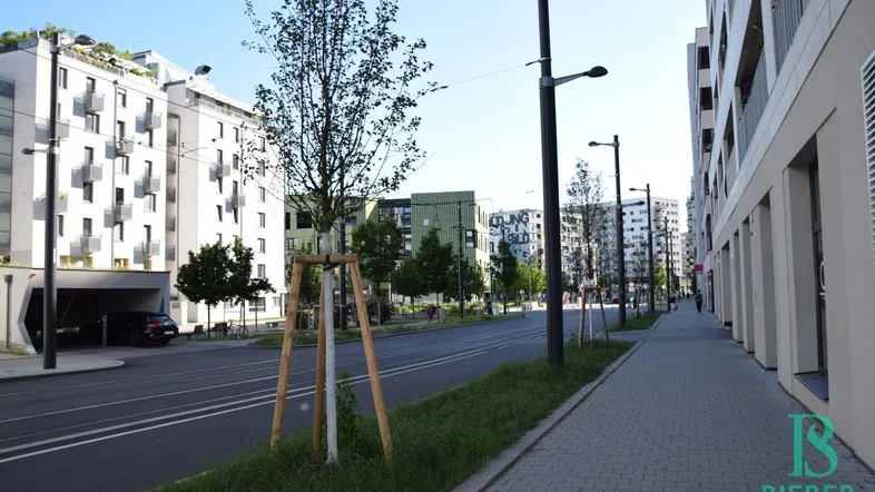 Moderne Wohngebäude entlang einer Straße mit Bäumen und Bürgersteigen in einer städtischen Umgebung.