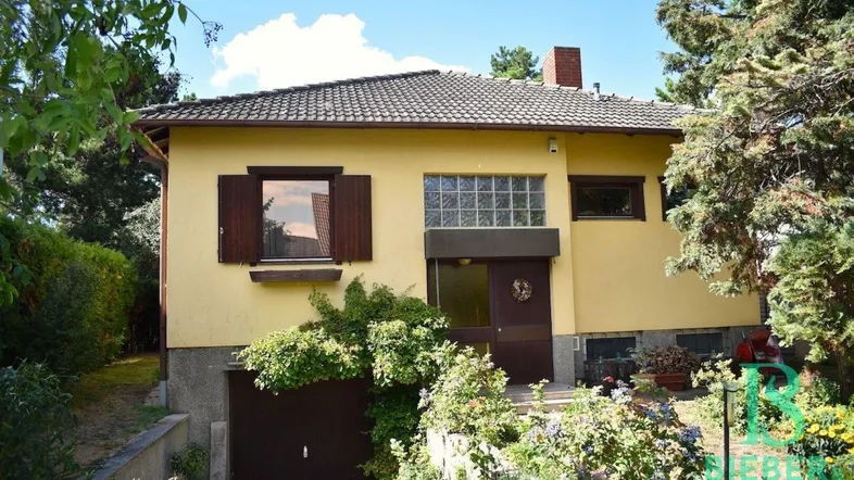 Gelbe Hausfassade mit braunen Fensterläden und integrierter Garage.