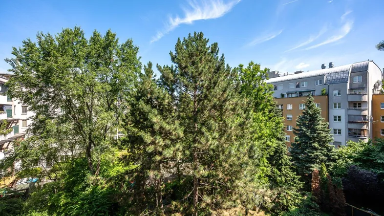 Blick auf Bäume und umliegende Wohngebäude unter blauem Himmel.