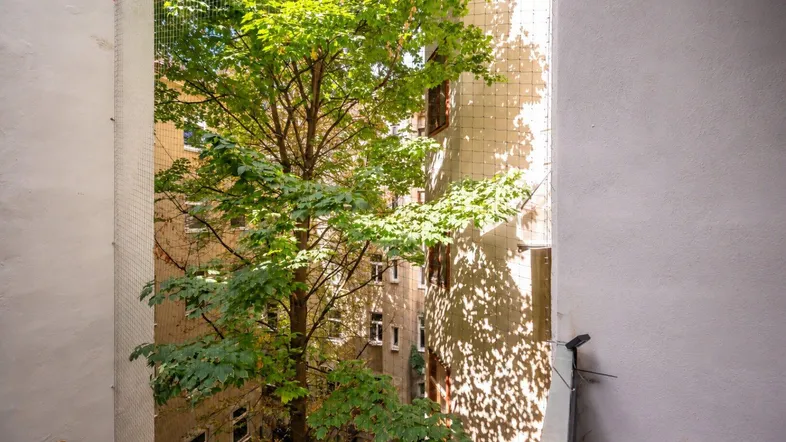 Blick von einem Balkon in einen grünen Innenhof mit Bäumen und Gebäudefassaden im Sonnenlicht.