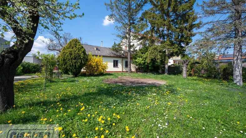 Großer Garten mit blühenden Wiesenblumen und einem Einfamilienhaus im Hintergrund unter blauem Himmel.