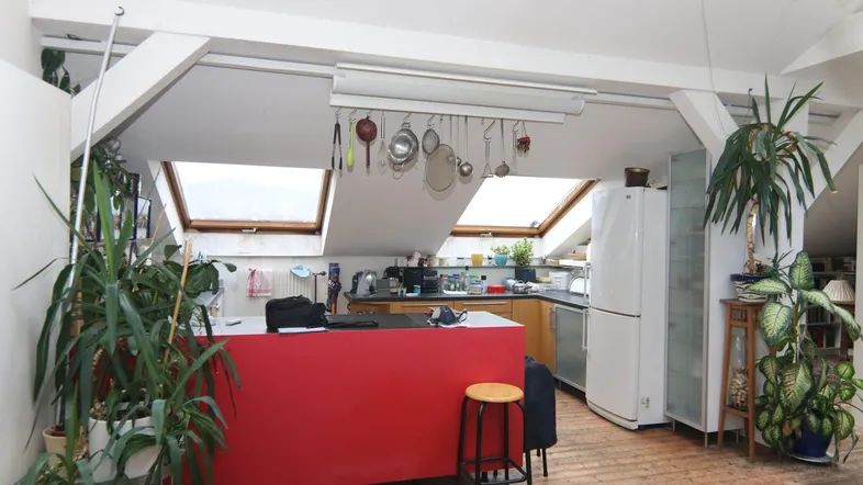 Offene Küche in einer Dachgeschosswohnung mit roter Kücheninsel, Holzboden und vielen Pflanzen.