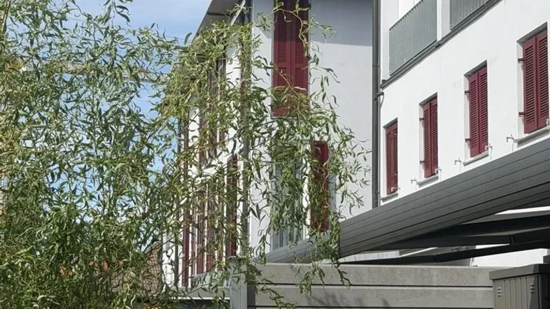 Außenansicht eines modernen Gebäudes mit roten Fensterläden und einem kleinen, begrünten Gartenbereich.