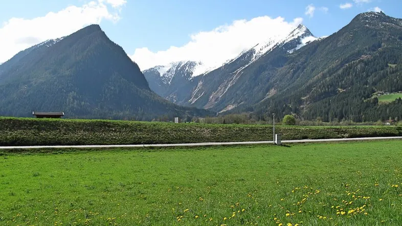 Weitläufige grüne Wiese mit Blick auf majestätische schneebedeckte Berge unter blauem Himmel.
