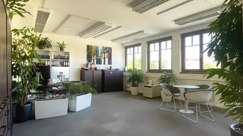 Helles und geräumiges Büro mit Teppichboden, großen Fenstern und vielen Pflanzen, ideal für eine moderne Arbeitsumgebung.